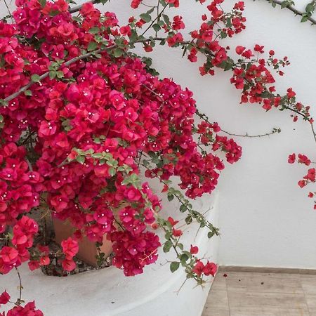 Depis Apartments & Suites Naxos City Экстерьер фото
