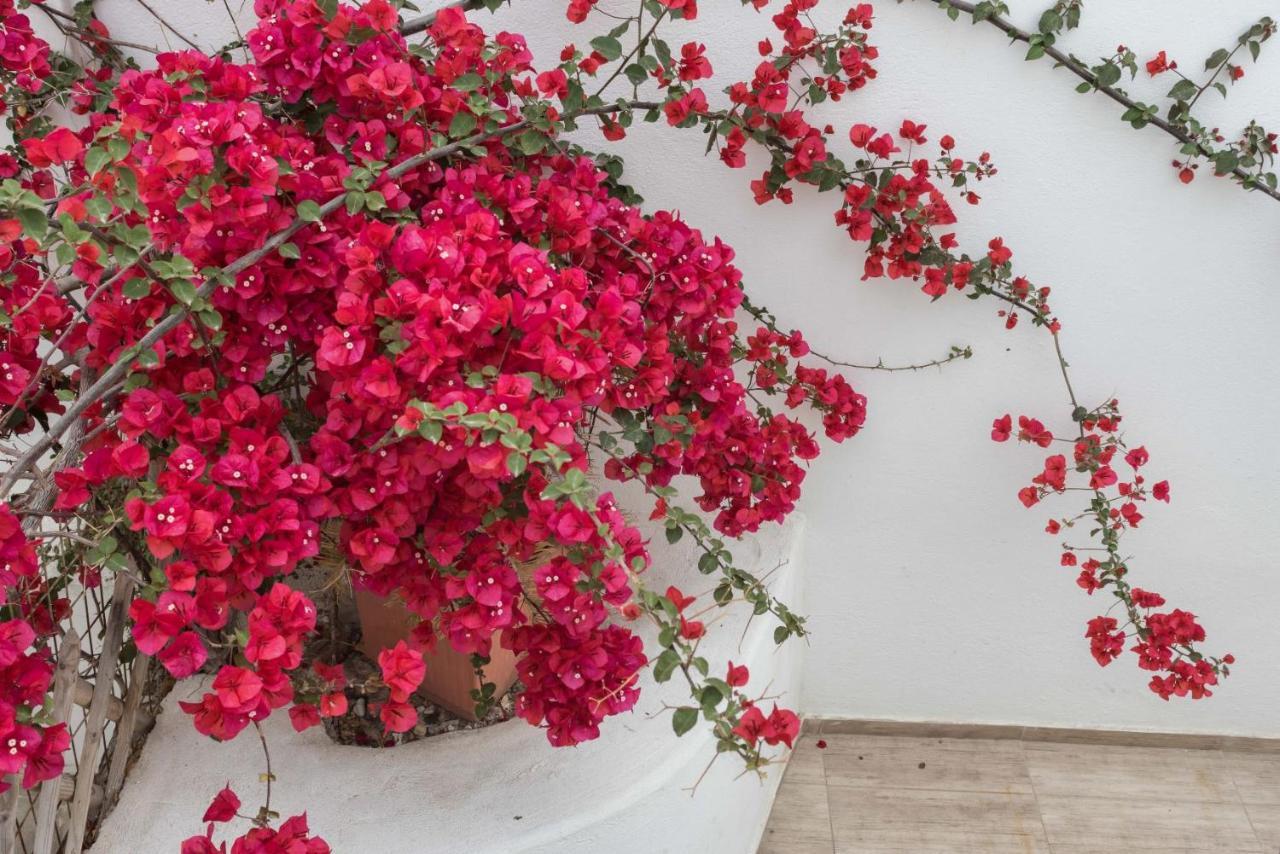 Depis Apartments & Suites Naxos City Экстерьер фото